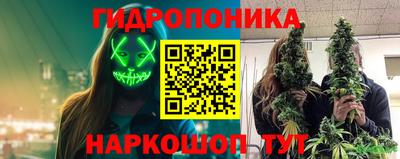 эйфоретик Краснокаменск
