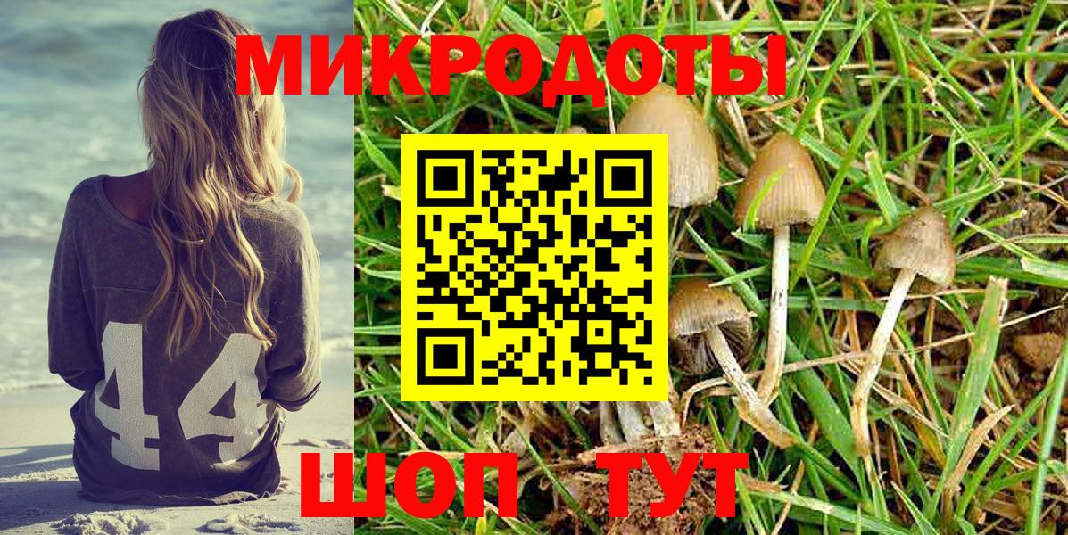 Галлюциногенные грибы ЛСД Клинцы
