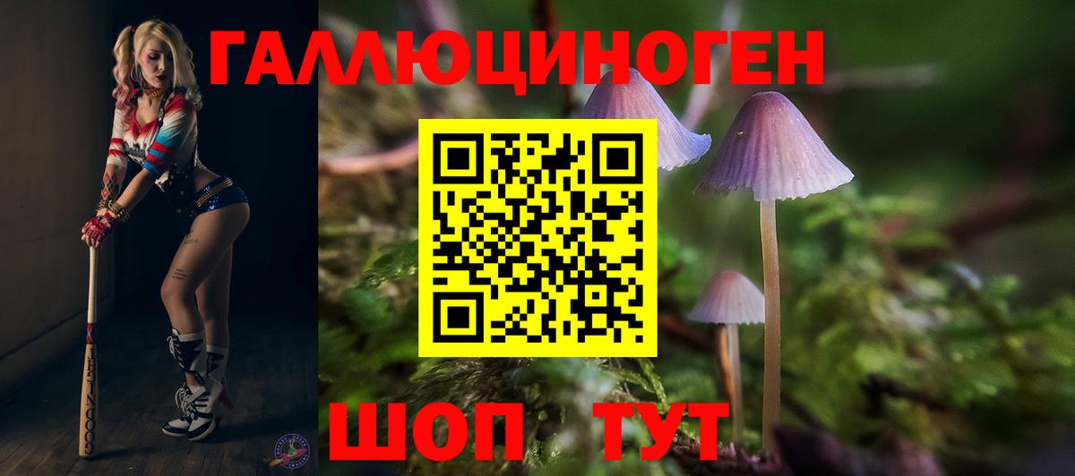 Псилоцибиновые грибы мухоморы  цена   Вход с VPN  Клинцы  Галлюциногенные грибы GOLDEN TEACHER 